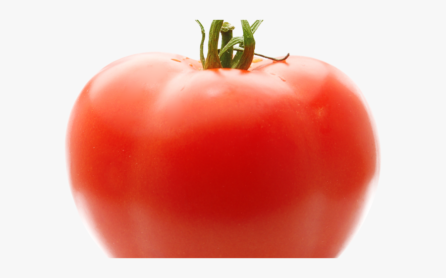 Transparent Tomato Clipart Black And White - Real Tomato Png, Transparent Clipart