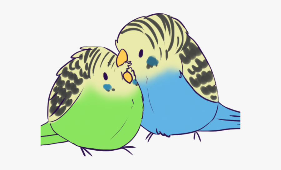 Drawing Of Kawaii Budgies, Transparent Clipart