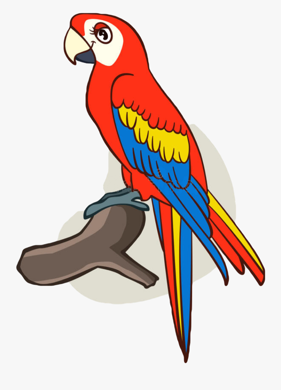 Budgie Clipart Kawaii - Cute Parrot Drawings, Transparent Clipart