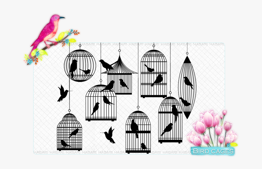 Bird Png Download - Birds In Cage Silhouette, Transparent Clipart