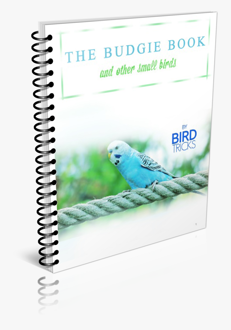 Transparent Budgie Png - Método De Cavaquinho Para Iniciantes, Transparent Clipart
