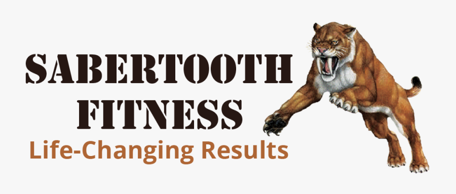 Transparent Saber Tooth Tiger Png - Fitness Boot Camp, Transparent Clipart
