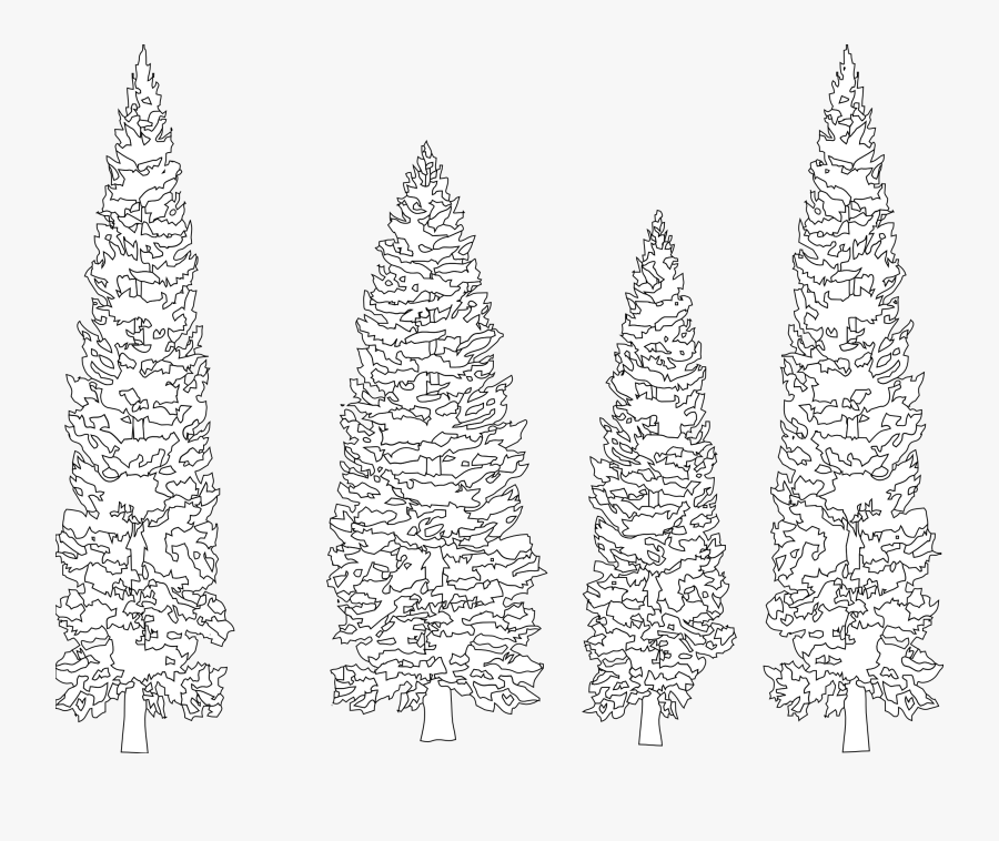 Pine Tree Clipart Coloring - White Tree Graphic On Black Background, Transparent Clipart