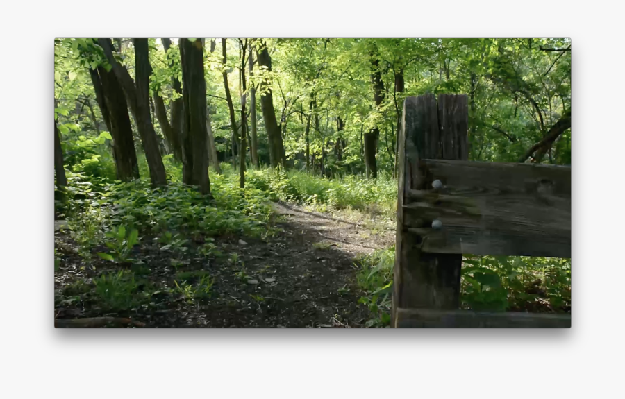 Dead Man S Hollow - Dead Man's Hollow, Transparent Clipart