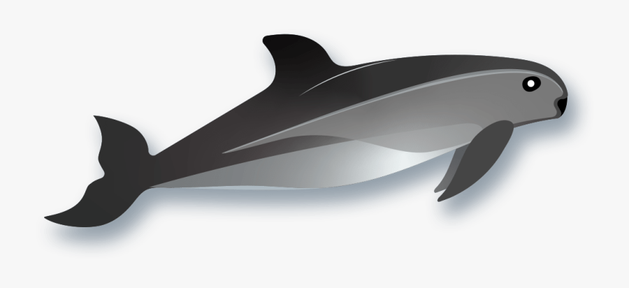 Wholphin, Transparent Clipart
