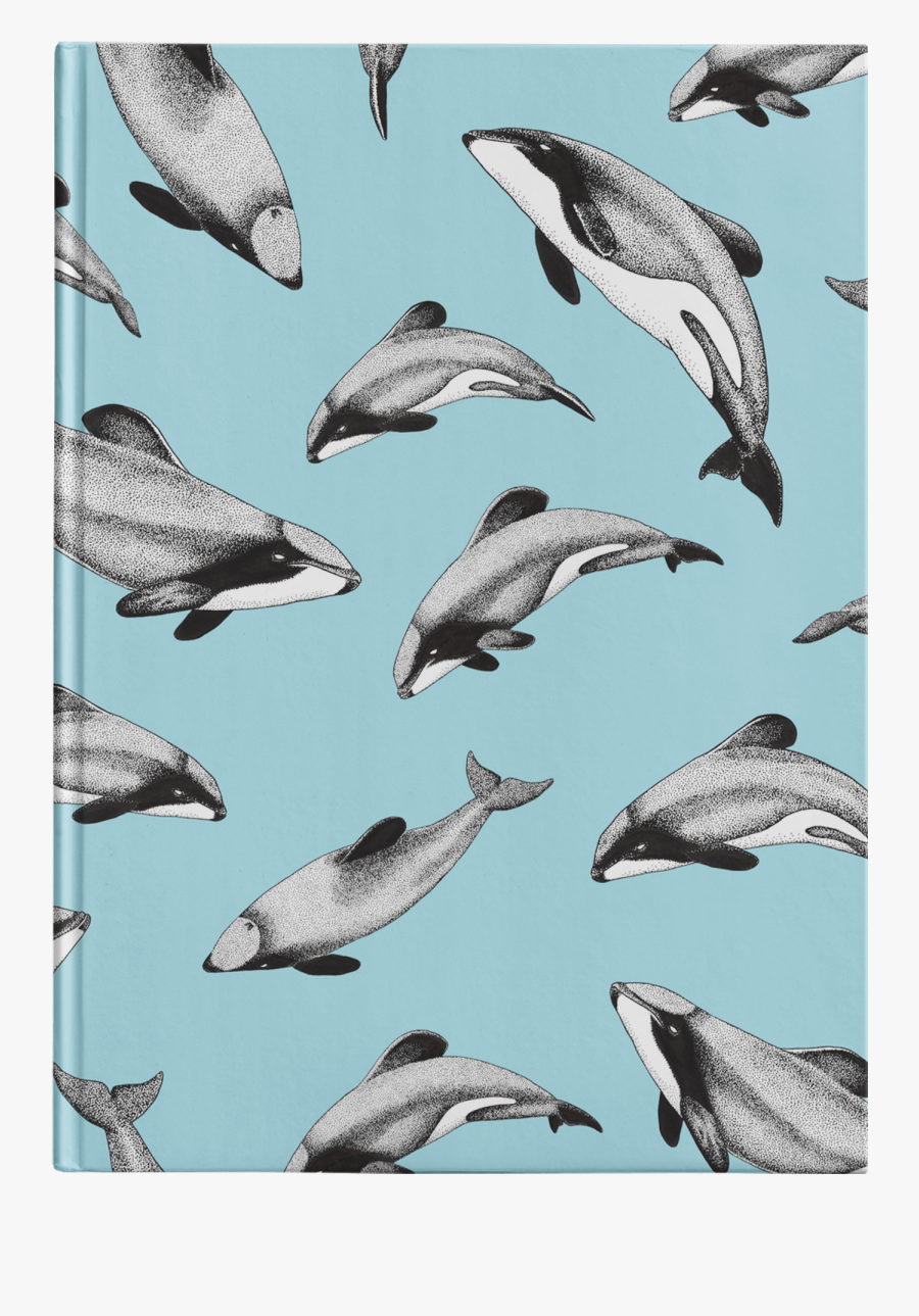 Common Bottlenose Dolphin, Transparent Clipart