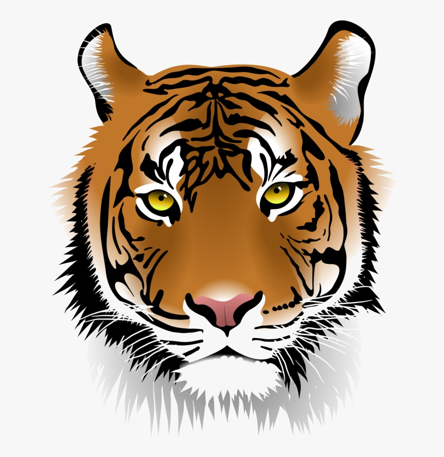 Tiger Cool Face White Clipart Transparent Png - Free Tiger Clipart, Transparent Clipart