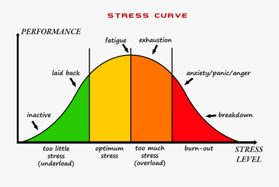 Pictures Of Stress - Stress Curve, Transparent Clipart