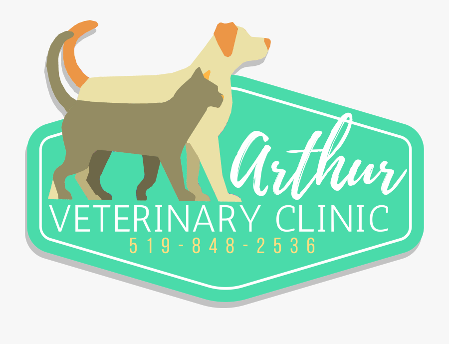 Weltfrieden Rote Stechpalmen Weihnachtspostkarte Postkarte - Harrier, Transparent Clipart