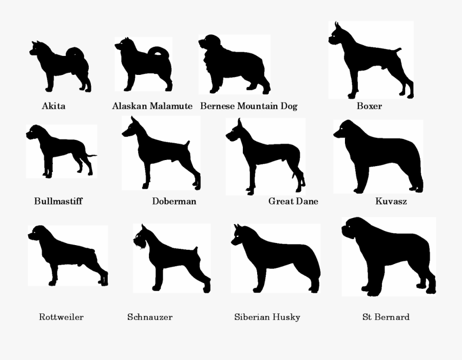 all dog breeds name