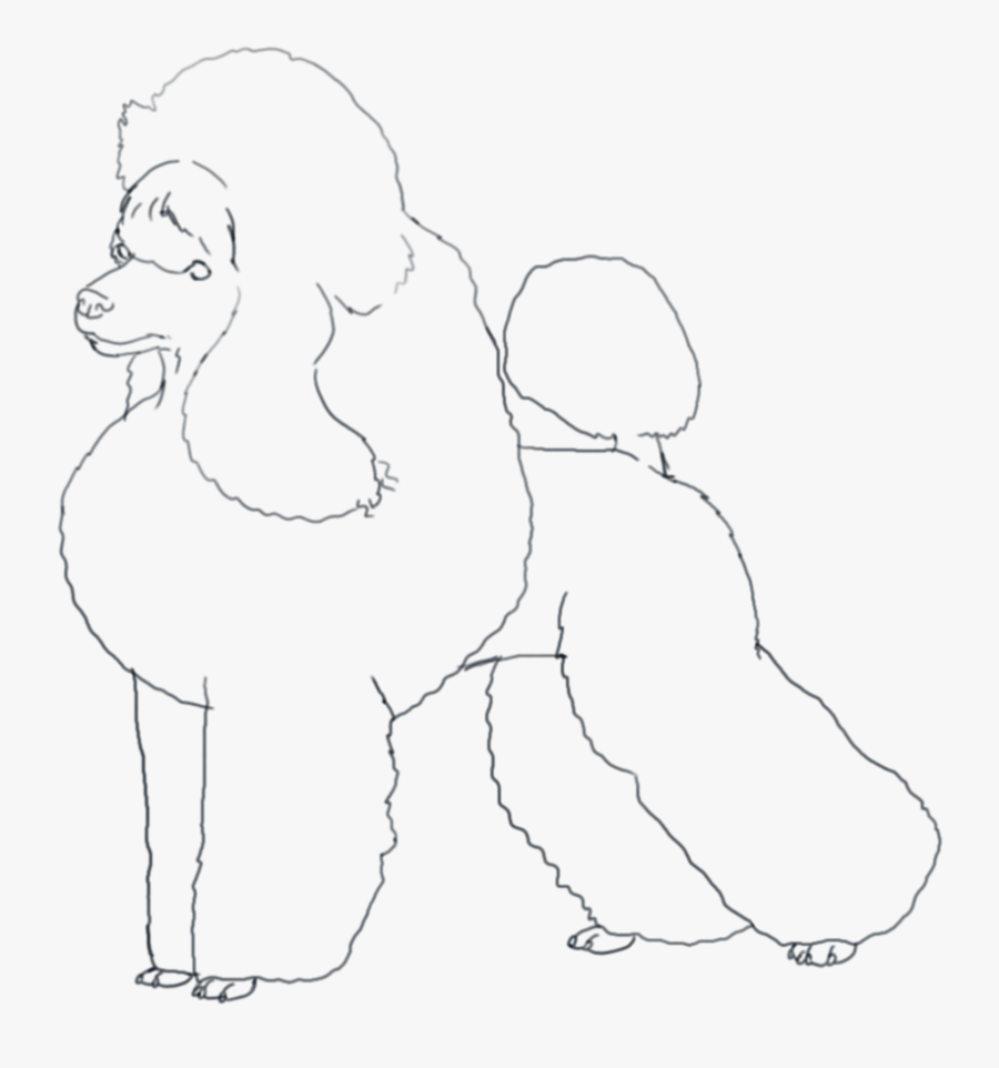 Free Coloring Pages Of Poodle Toy - Line Art, Transparent Clipart