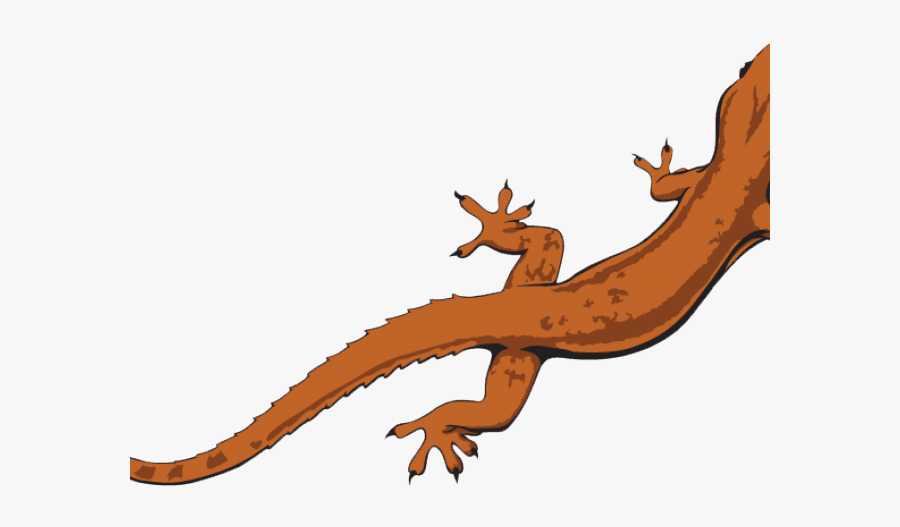 Lizard Clipart Transparent Background, Transparent Clipart