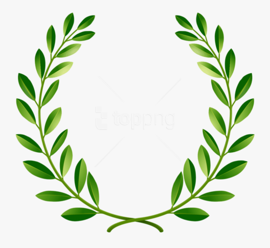 Wheat Clipart Laurel - Green Laurel Wreath Png, Transparent Clipart
