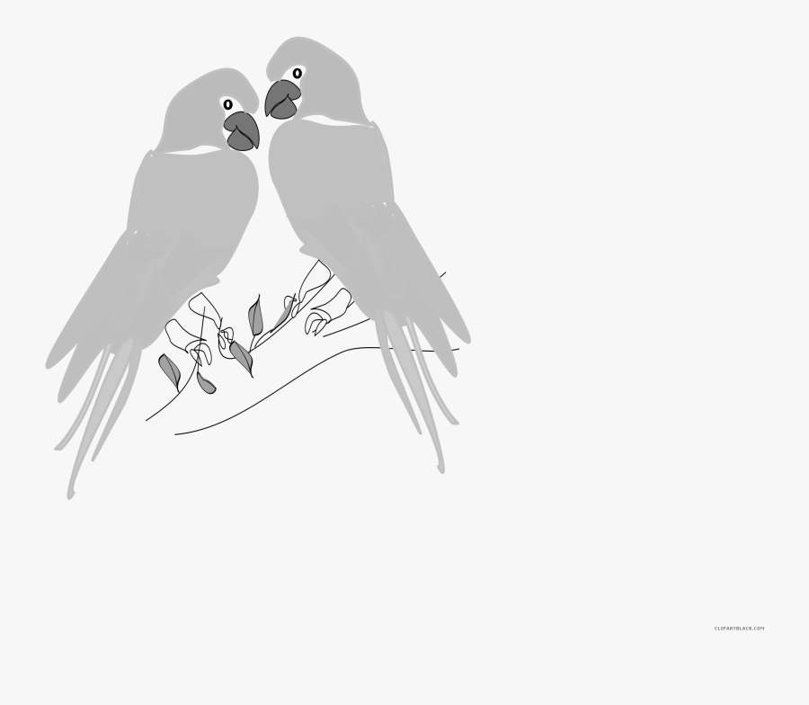 Grayscale Parrot Animal Free - Parrot, Transparent Clipart