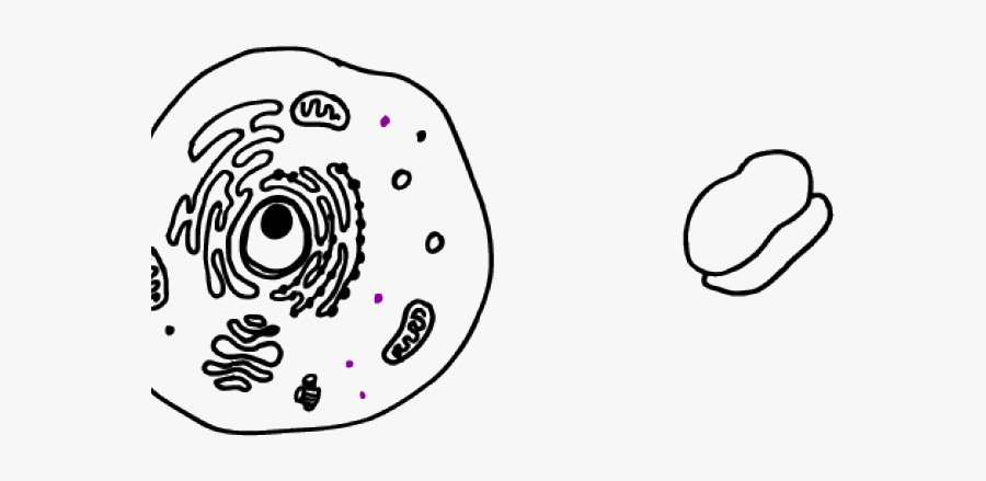 Meat Production Vs Plant, Transparent Clipart