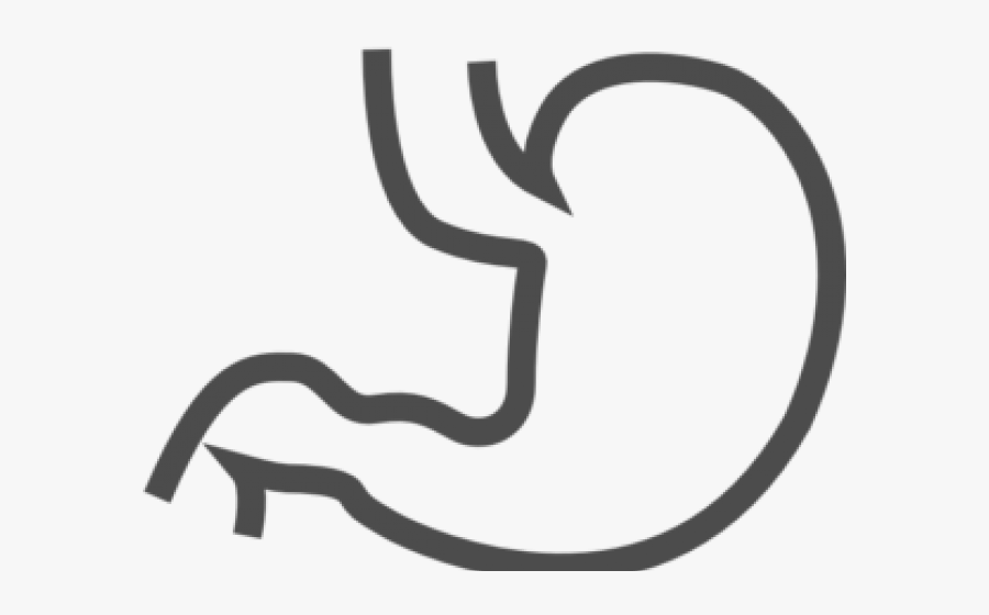 Stomach Cliparts - Stomach Clipart Black And White, Transparent Clipart