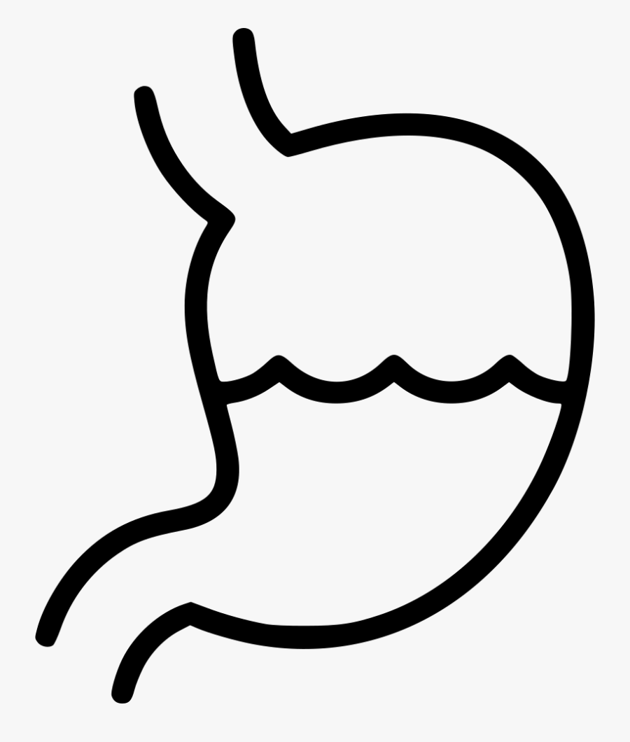Line Art - Stomach, Transparent Clipart