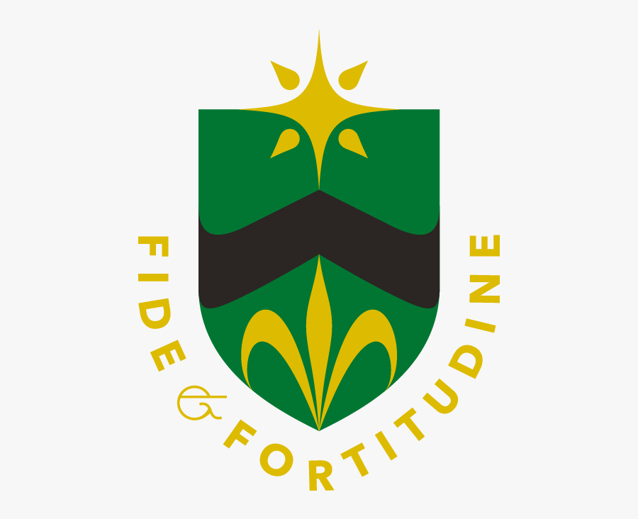 Primary Information, Transparent Clipart