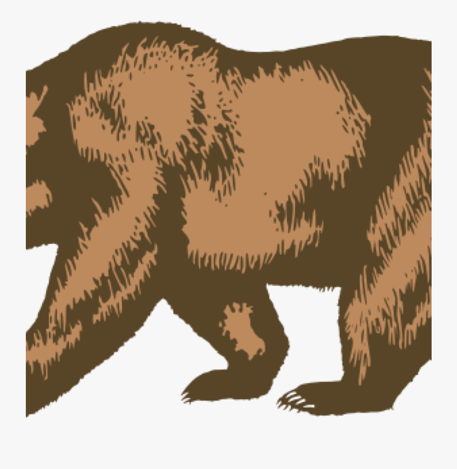 Transparent Bear Outline Png - California Bear Png, Transparent Clipart