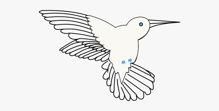 Hummingbird Beak Drawing, Transparent Clipart