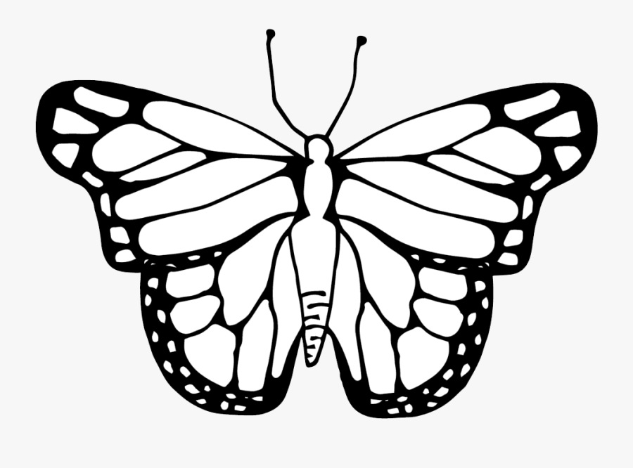 Butterfly Clipart Coloring Worksheets Transparent Png - Clipart Image Of A Butterfly, Transparent Clipart