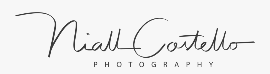 Calligraphy, Transparent Clipart