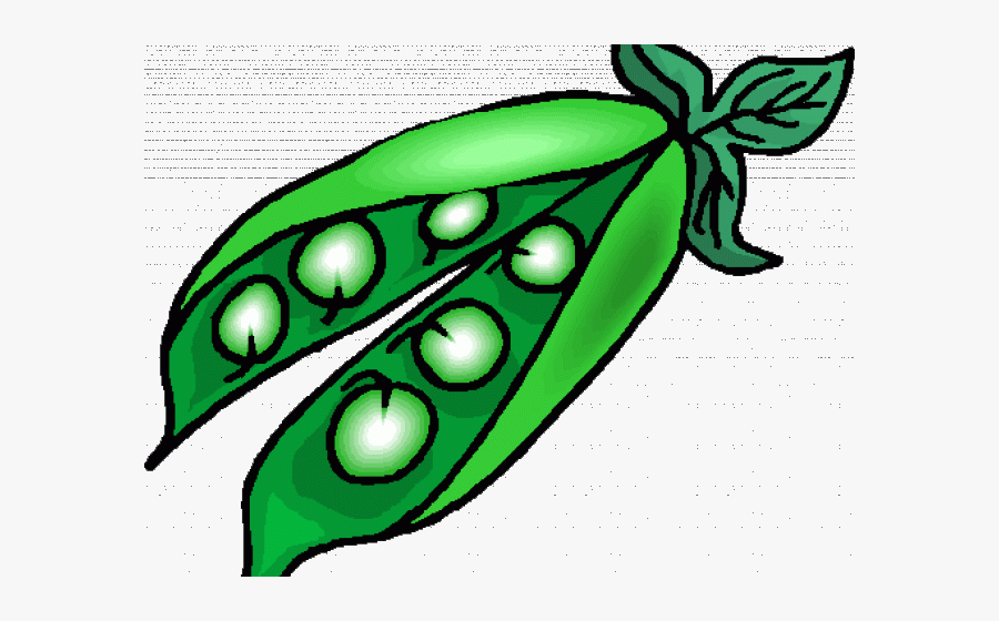 Pea Clipart Pea Plant - Peas Clipart, Transparent Clipart