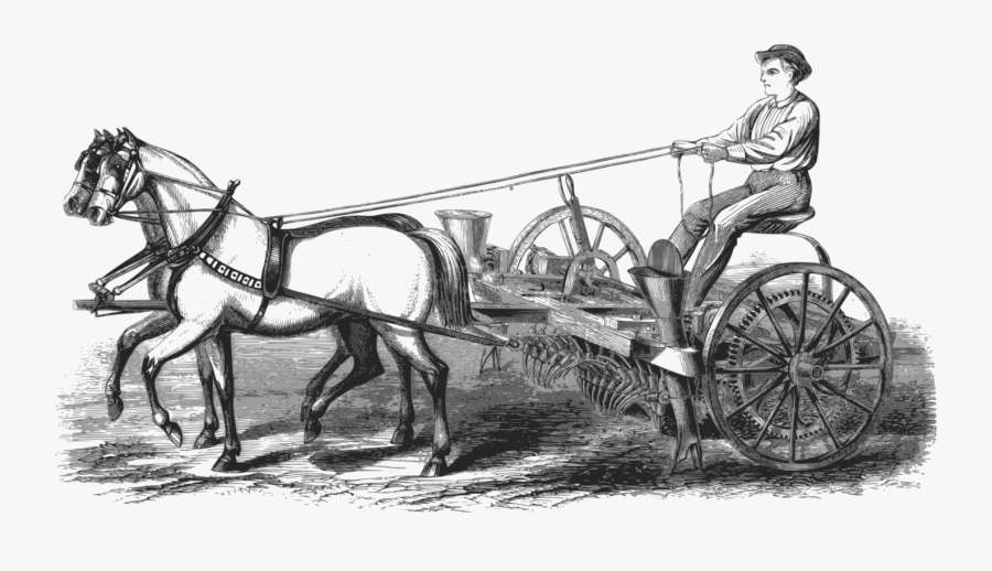 Transparent Horse And Cart Clipart - Horse And Buggy, Transparent Clipart