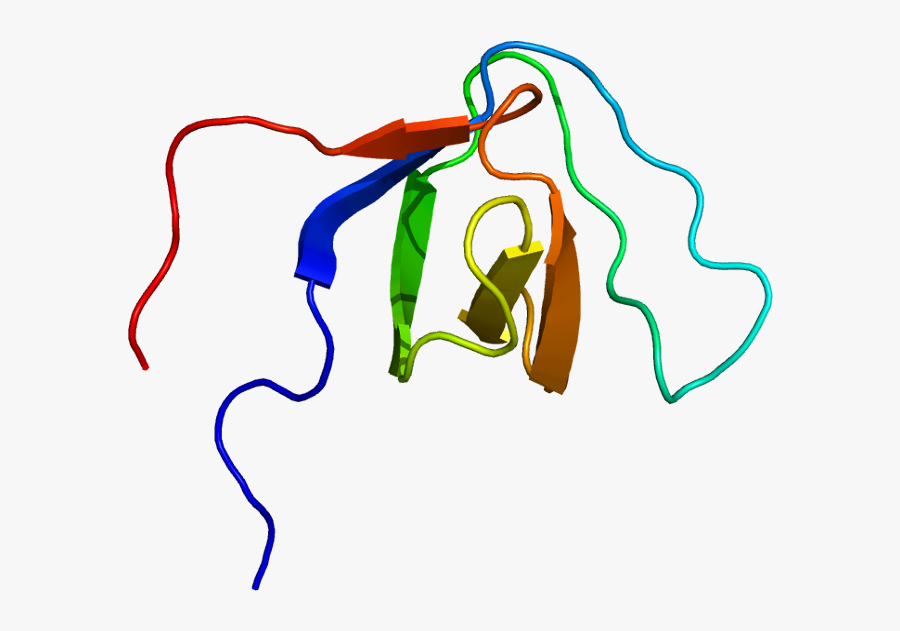 Keyword Research Clipart , Png Download, Transparent Clipart