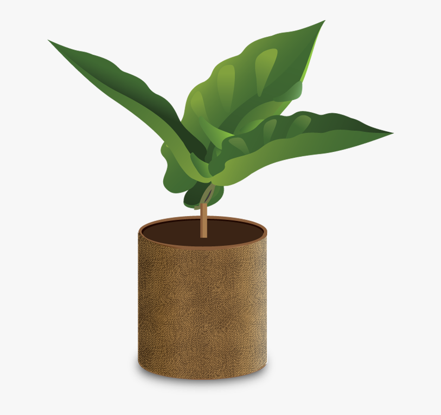 Clip Art Coffee Plant Clipart - Coffee Grow Png, Transparent Clipart