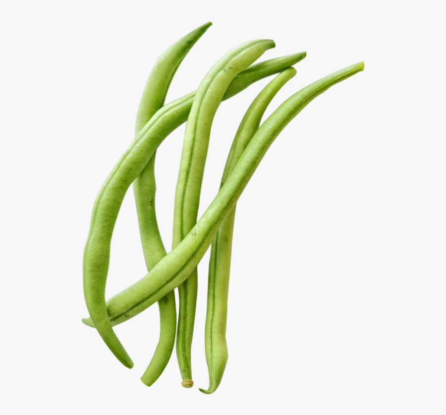 Garden Beans Clipart, Transparent Clipart