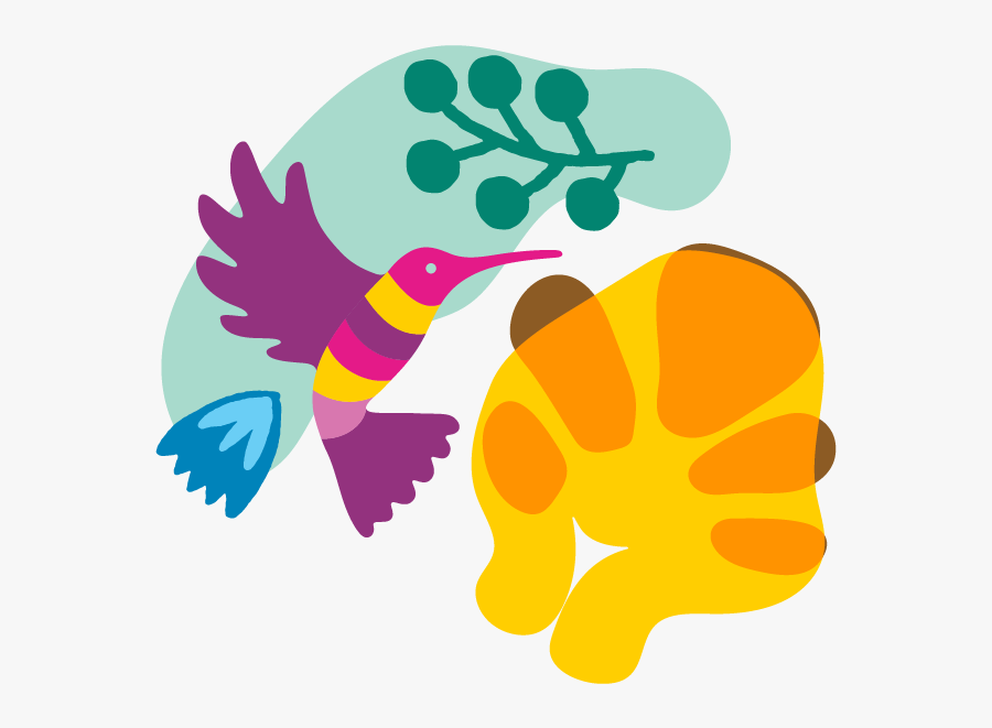 A Colorful Drawing Of A Hummingbird, Transparent Clipart