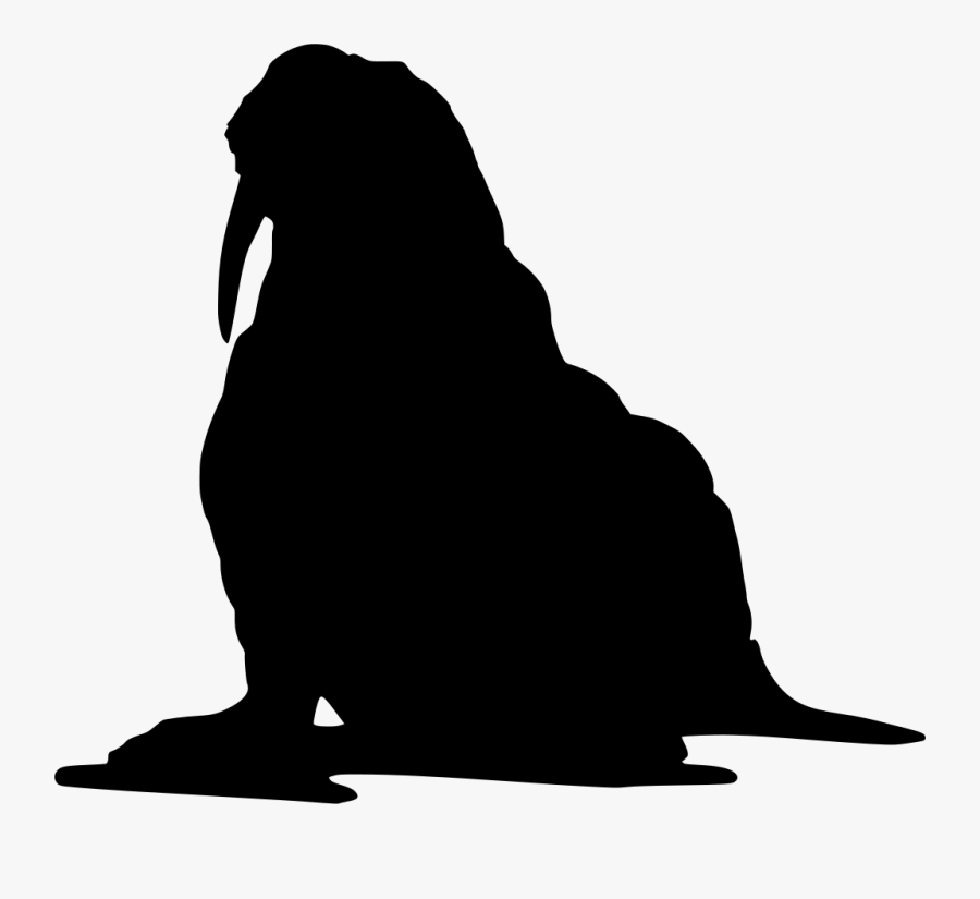 Walrus Silhouette Clipart , Png Download - Walrus Silhouette Png, Transparent Clipart