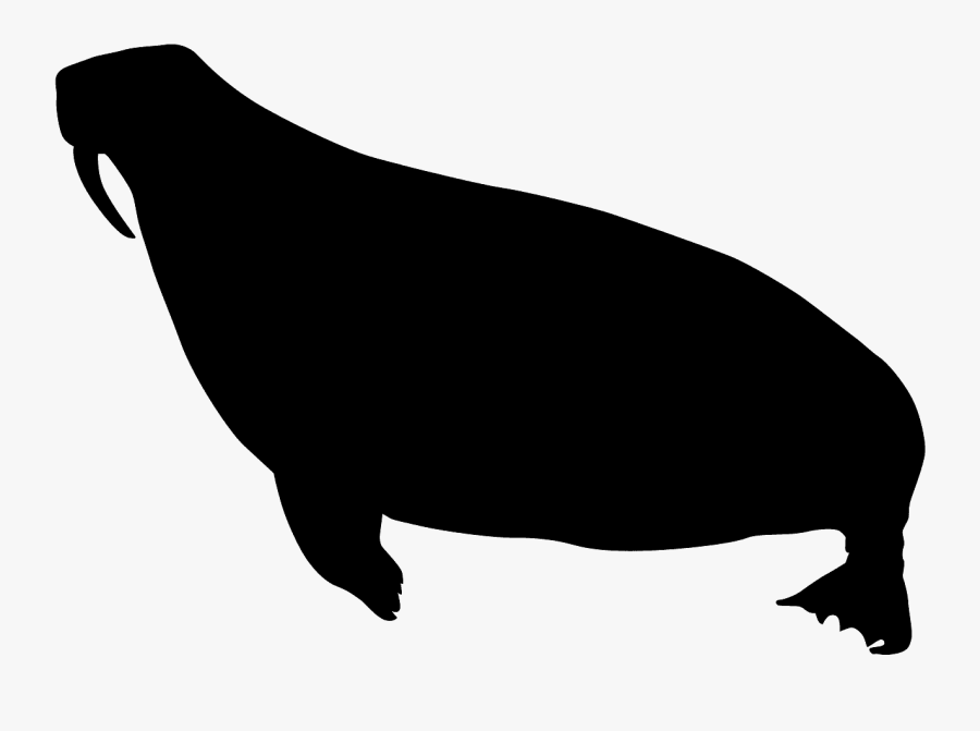 Silhouettes Of Hawk, Transparent Clipart