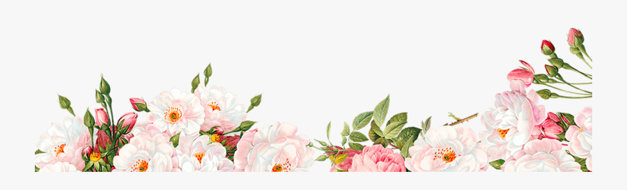 Watercolor Pink Flower Border , Free Transparent Clipart - ClipartKey