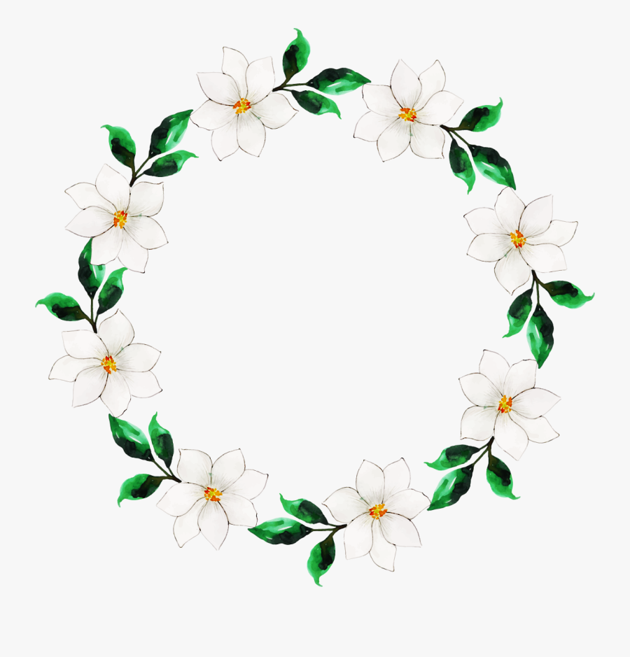 Jasmine, Transparent Clipart