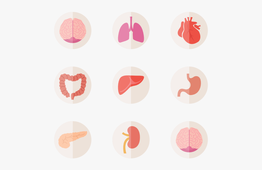 Circle, Transparent Clipart