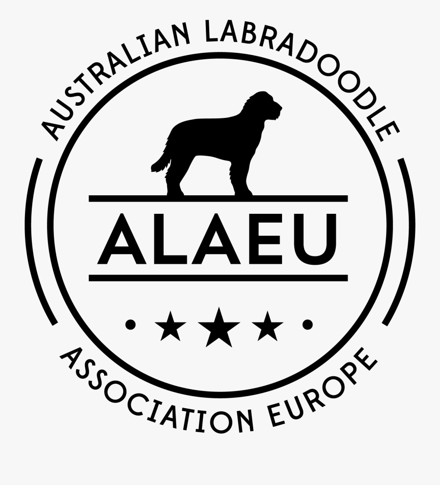 Labradoodle Goldendoodle Puppy Breeder Animal Breeding - English Cocker Spaniel, Transparent Clipart