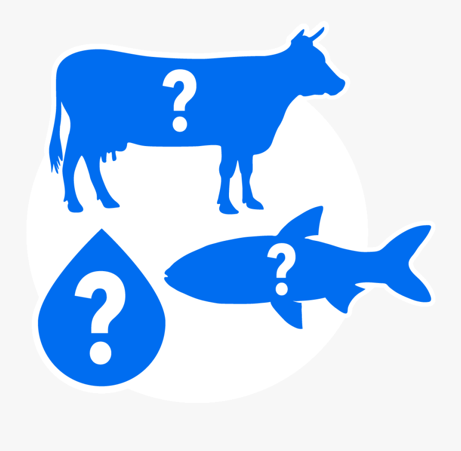 Insects As Food Illustration, Transparent Clipart