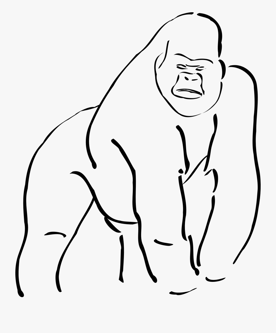 Gorilla Clip Art - Gorilla Outline, Transparent Clipart