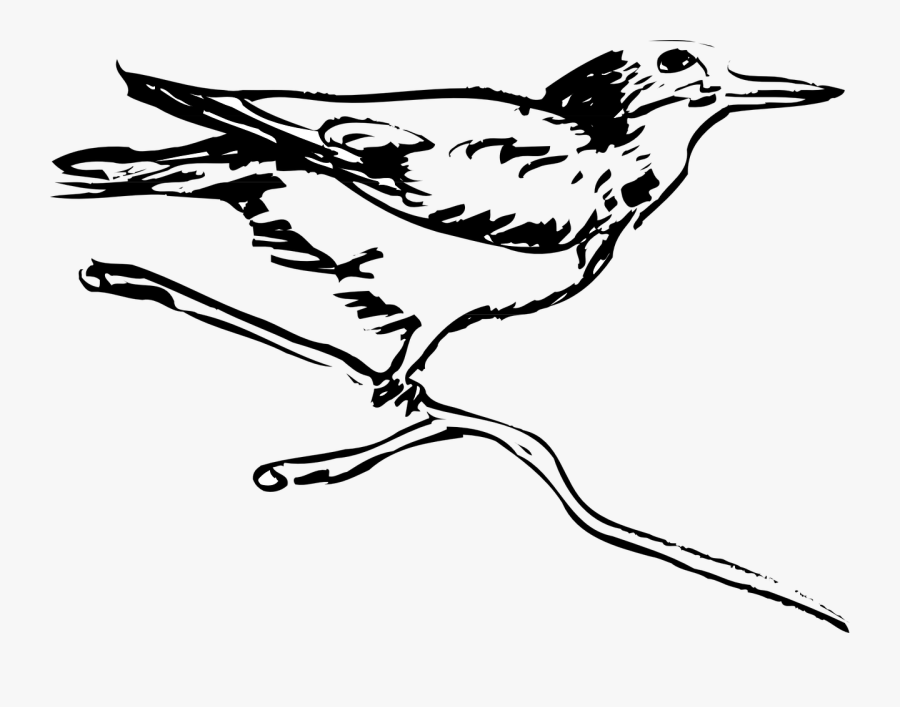 Portable Network Graphics, Transparent Clipart