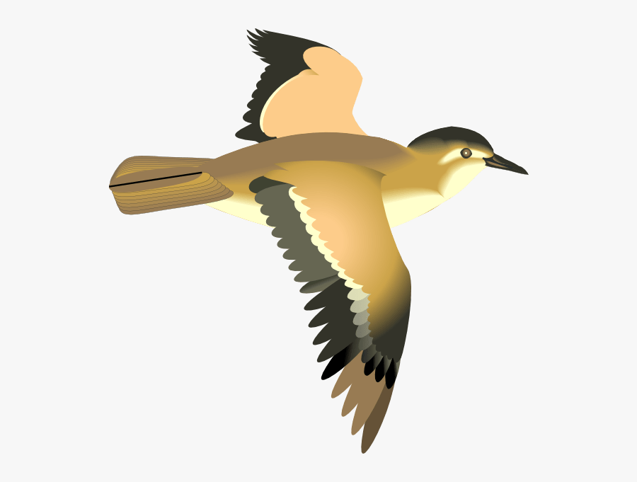 Animated Flying Bird Png Clipart , Png Download - Transparent Clipart Flying Bird, Transparent Clipart