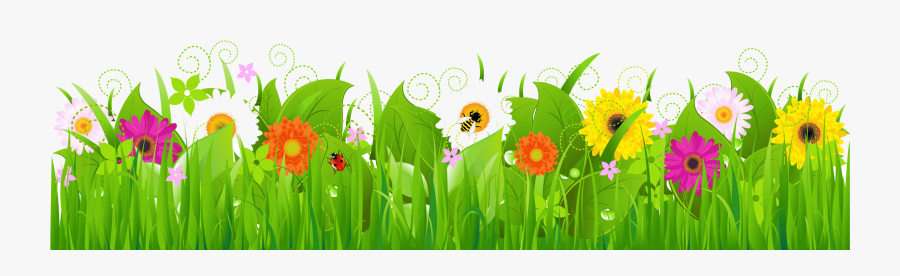 Grass Clipart Transparent Png - Grass And Flower Border, Transparent Clipart