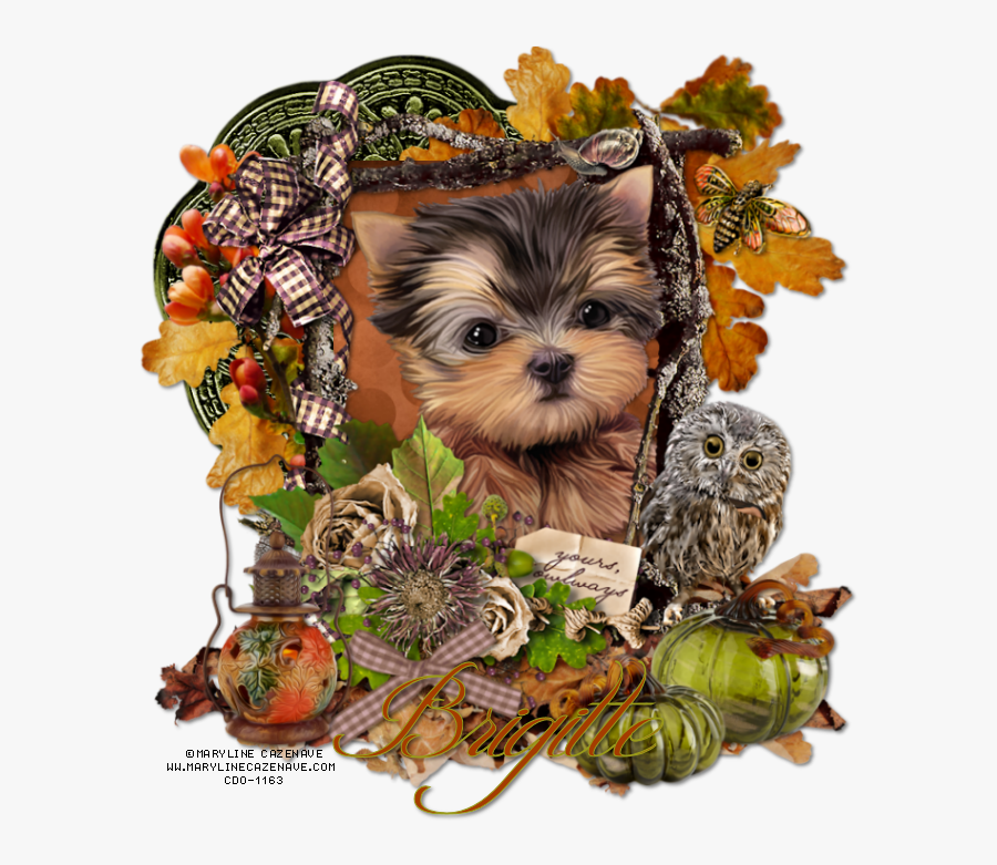 Yorkies Clipart Brown Puppy - Happy Thanksgiving Yorkies, Transparent Clipart
