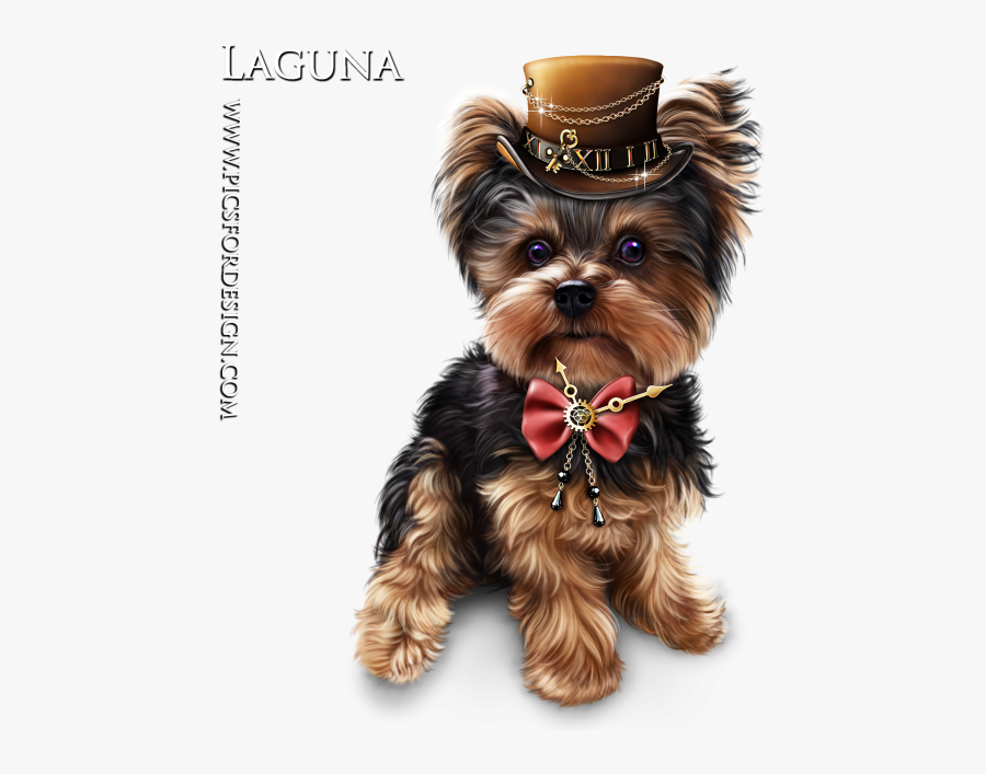 Yorkshire-terrier - Yorkshire Terrier, Transparent Clipart