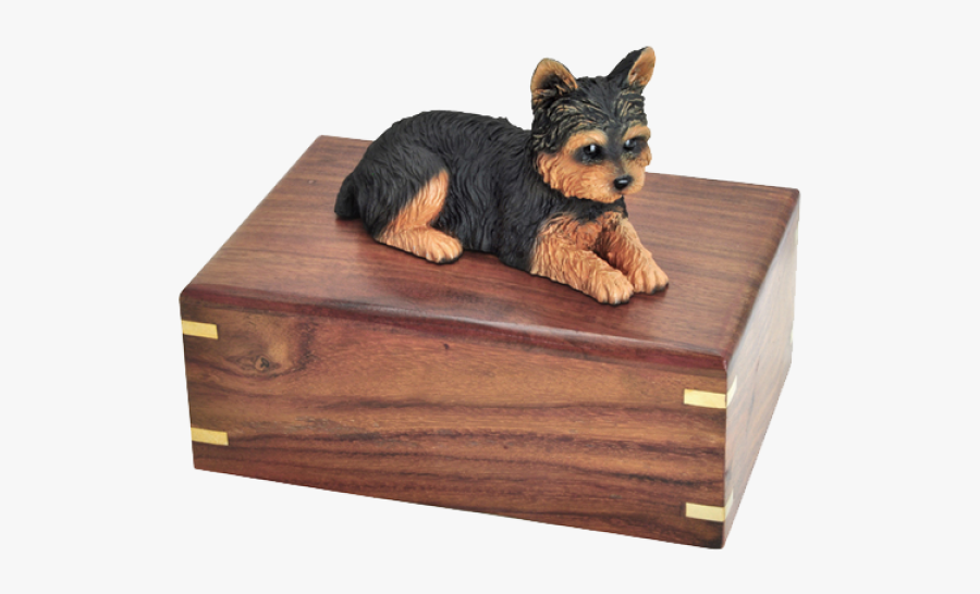 Wooden Box For Dogs Aahes Black Labrador, Transparent Clipart