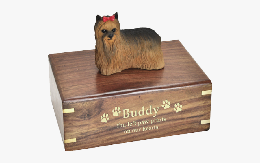 Dog, Transparent Clipart