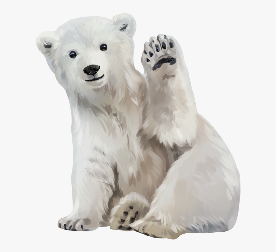 Polar Bear Art Png, Transparent Clipart