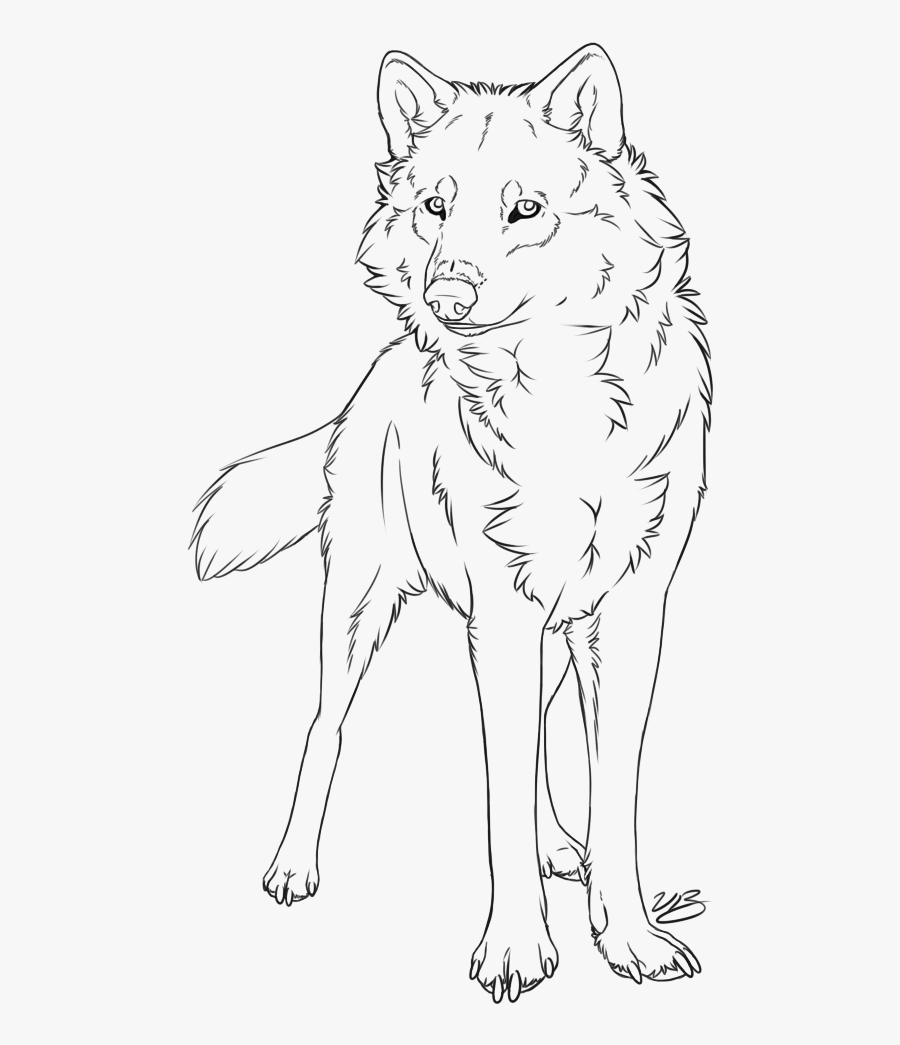 Coyote Drawing Standing - Wolf Drawing Line Art, Transparent Clipart