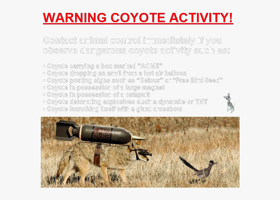 Coyote Road Runner Real, Transparent Clipart